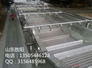 山東果蔬類氣泡清洗機生產廠家圖片與價格指南